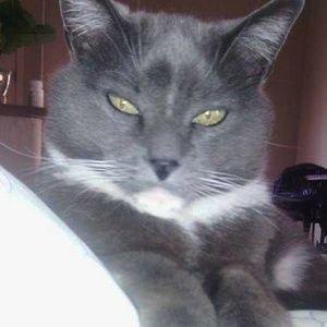 Meet your Posher, Margaret